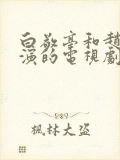 白敬亭和赵又廷演的电视剧