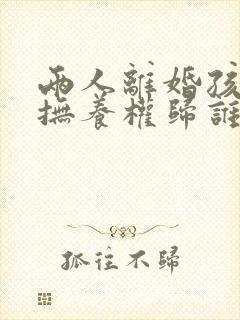 两人离婚孩子的抚养权归谁