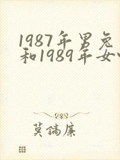 1987年男兔和1989年女蛇姻缘怎么样