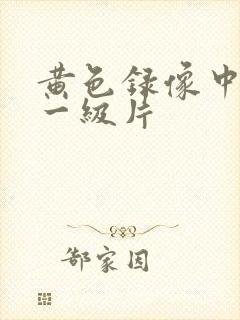 黄色录像中国的一级片