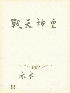 战天神皇封面