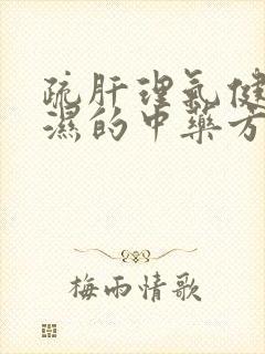 疏肝理气健脾祛湿的中药方剂