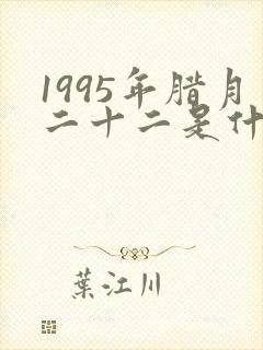 1995年腊月二十二是什么命