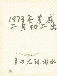 1973年农历二月初二出生是什么命