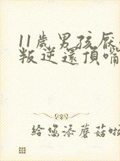 11岁男孩厌学叛逆还顶嘴怎么办封面