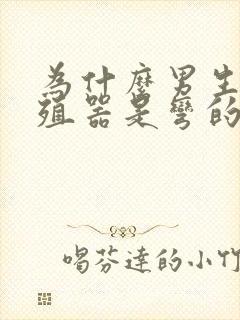 为什么男生的生殖器是弯的