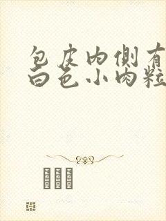 包皮内侧有一排白色小肉粒