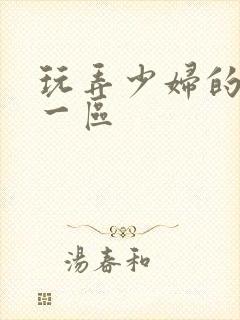 玩弄少妇的视频一区