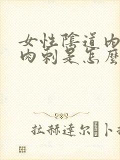 女性阴道内有小肉刺是怎么回事