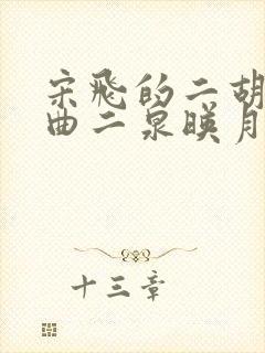 宋飞的二胡独奏曲二泉映月