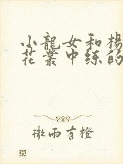 小龙女和杨过在花丛中练的什么功