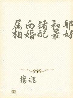 属向猪和那个属相婚配最好