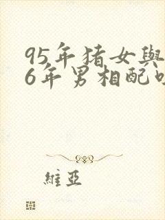 95年猪女与96年男相配吗