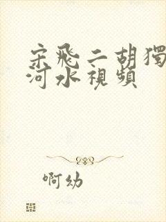 宋飞二胡独奏江河水视频封面