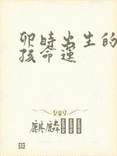 卯时出生的马男孩命运