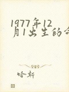 1977年12月1出生的命运农历