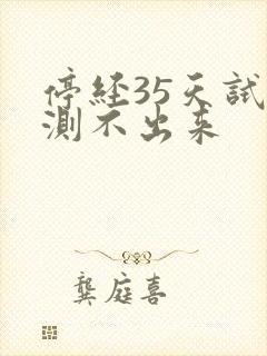 停经35天试纸测不出来封面