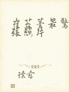 崔苔菁最惊艳三张照片