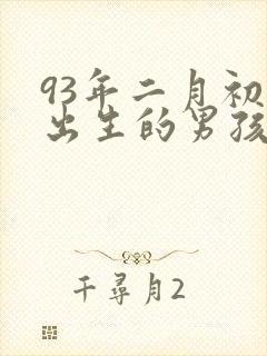 93年二月初二出生的男孩命好