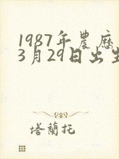 1987年农历3月29日出生女命