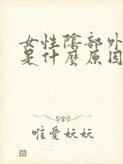 女性阴部外瘙痒是什么原因