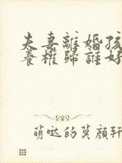 夫妻离婚孩子抚养权归谁好