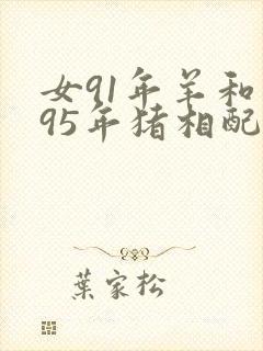 女91年羊和男95年猪相配吗