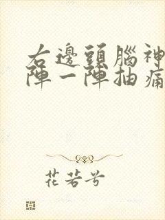 右边头脑神经一阵一阵抽痛封面