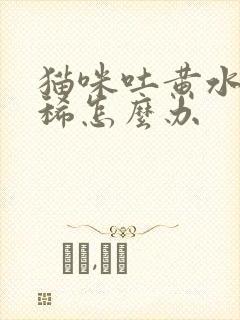 猫咪吐黄水还拉稀怎么办