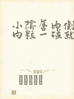 小阴唇内侧长小肉粒一碰就疼