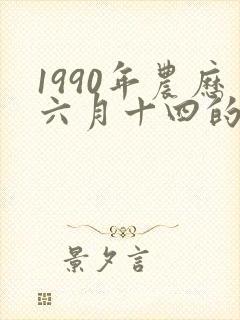 1990年农历六月十四的命运