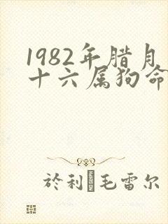 1982年腊月十六属狗命运如何