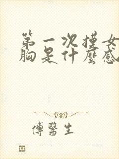 第一次摸女生的胸是什么感觉