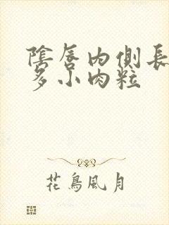 阴唇内侧长了许多小肉粒封面