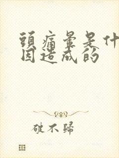 头痛晕是什么原因造成的