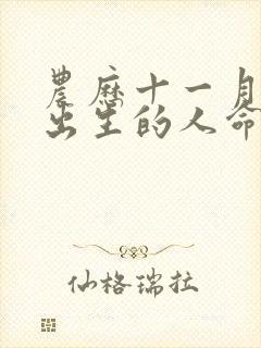 农历十一月十三出生的人命运