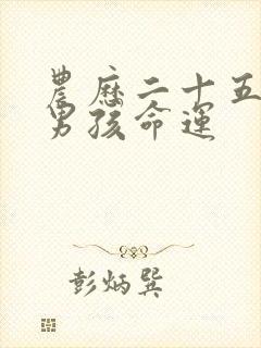 农历二十五出生男孩命运