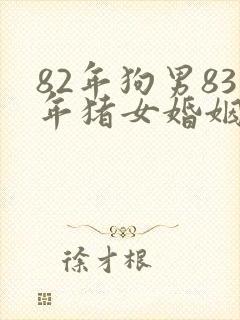 82年狗男83年猪女婚姻相配吗封面