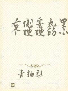 右侧睾丸里面有个硬硬的小疙瘩