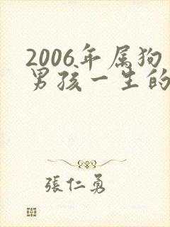 2006年属狗男孩一生的命运