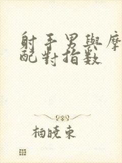 射手男与摩羯女配对指数