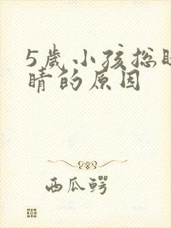 5岁小孩总眨眼睛的原因