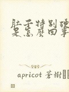 肚子特别硬还胀是怎么回事封面