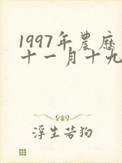 1997年农历十一月十九生的人命运