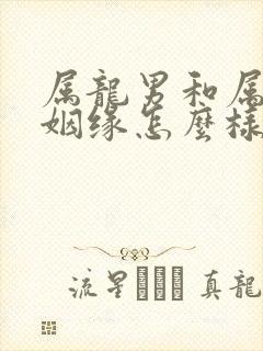 属龙男和属牛女姻缘怎么样封面