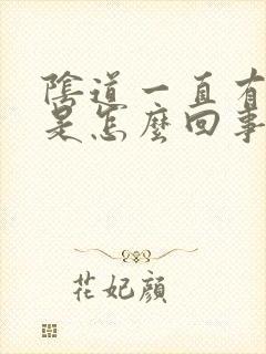 阴道一直有异味是怎么回事