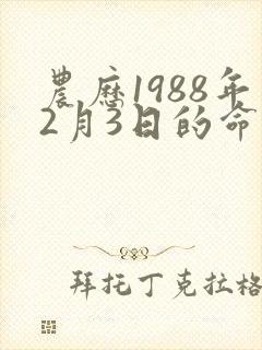 农历1988年2月3日的命运