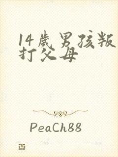 14岁男孩叛逆打父母封面