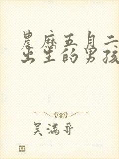 农历五月二十二出生的男孩命运