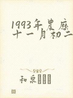 1993年农历十一月初二什么命